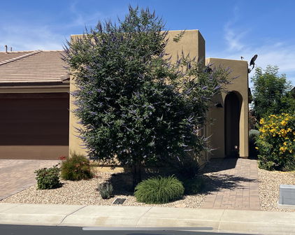 35990 N Zinnis Trail, San Tan Valley