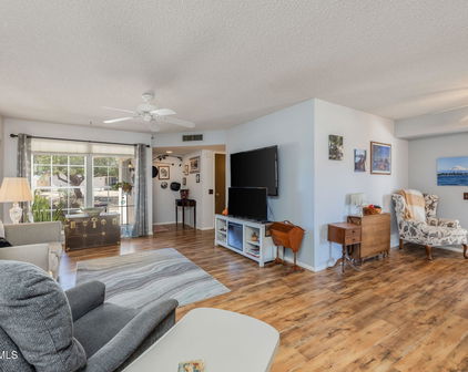 13211 W Aleppo Drive, Sun City West