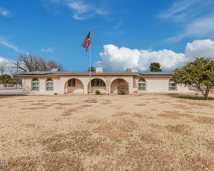 707 S Cactus Wren Street, Gilbert