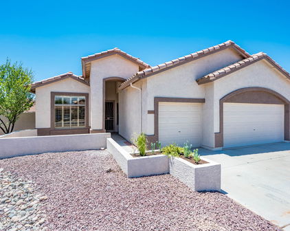 10781 W Carlota Lane, Sun City