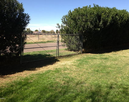 10556 W Catalina Drive, Avondale