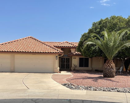20439 N 110th Avenue N, Sun City