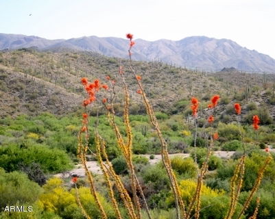390 E Spanish Boot Road Unit 3, Carefree
