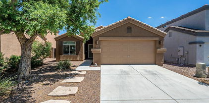 23529 N El Frio Court, Sun City