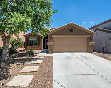 23529 N El Frio Court, Sun City