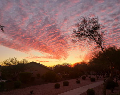16491 W Sheridan Street, Goodyear