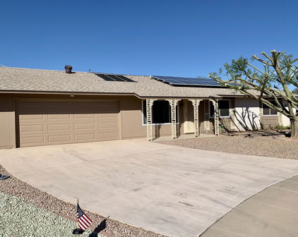10114 W Pine Springs Drive, Sun City