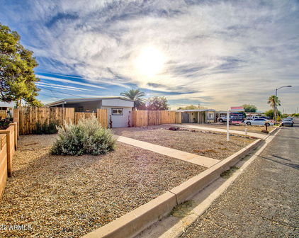 10807 W Palm Tree Drive, Sun City