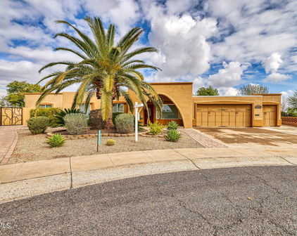 16829 N Beaver Valley Court, Sun City