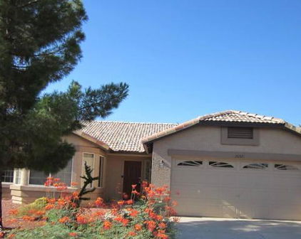 20321 N 108th Lane, Sun City