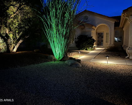 11115 E Bellflower Court, Sun Lakes