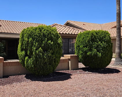 9343 W Escuda Drive, Peoria