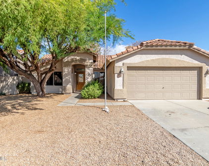10842 W Sands Drive, Sun City