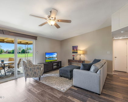 10413 W Oakmont Drive, Sun City