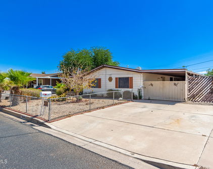 10843 W Palm Tree Drive, Sun City