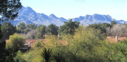 4303 E Cactus Road Unit 331, Phoenix