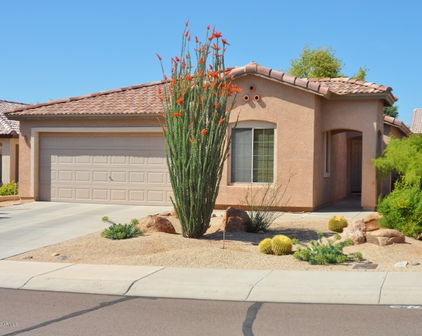 10774 W Chisholm Drive, Sun City