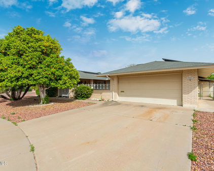 9201 W Raintree Drive, Sun City