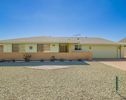 10319 W Twin Oaks Drive, Sun City
