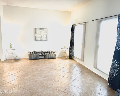 11189 W Palmeras Drive, Sun City
