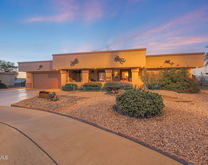 11193 W Palmeras Drive, Sun City
