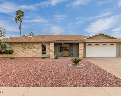 19826 N Cherry Tree Lane, Sun City