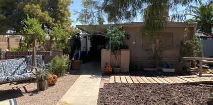 10807 W Palm Tree Drive, Sun City