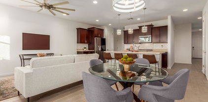 4006 W Suncup Drive, San Tan Valley
