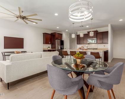 4006 W Suncup Drive, San Tan Valley