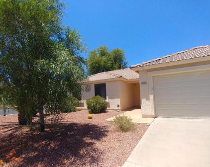10798 W Robin Lane, Sun City