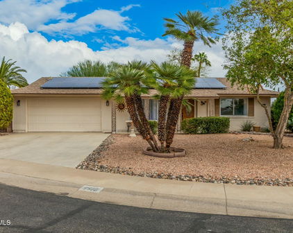 9918 W Willow Creek Circle, Sun City