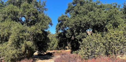 Hobby Horse, Temecula