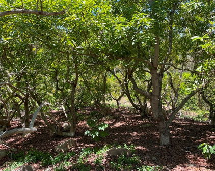 1 Vista Del Mar, Temecula