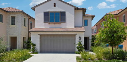 141 Statura, Irvine