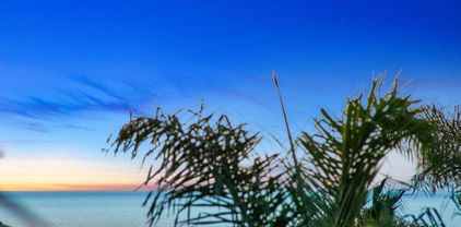 6557 Coneflower Drive, Carlsbad