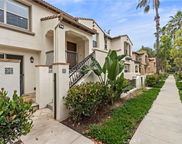 80 hedge bloom, Irvine image