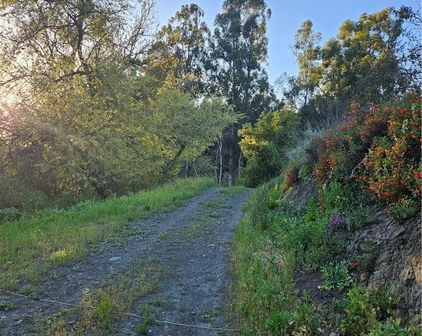 27375 Sycamore Mesa Road, Temecula