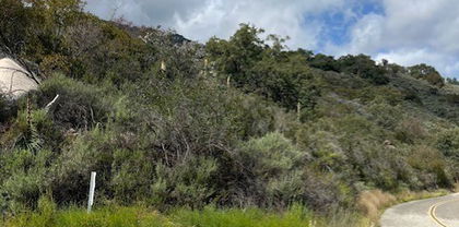 Carancho Road, Temecula