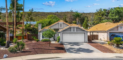 24322 Via Las Junitas, Murrieta