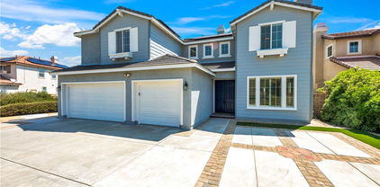 8 Via Del Fico Court, Lake Elsinore