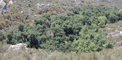 Doe Lane, Hemet