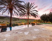 31 Blue Heron, Irvine image