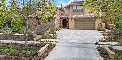 10 Gaucho, Ladera Ranch