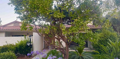 7019 Estrella De Mar Road, Carlsbad