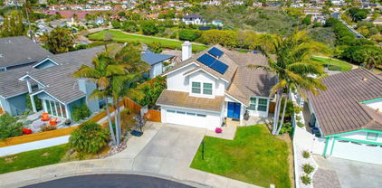 1647 Hawk View Drive, Encinitas