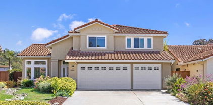 1707 Willowhaven Road, Encinitas