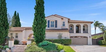 3229 Sitio Montecillo, Carlsbad