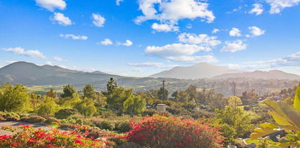 13613 Hillside Estates Drive, Jamul