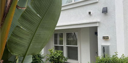815 Harbor Cliff Way Unit 239, Oceanside