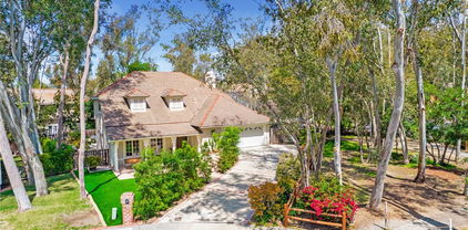 24921 Canyon Rim Place, Lake Forest
